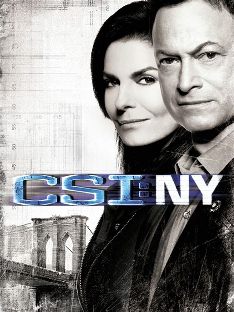 CSI: NY Season 9